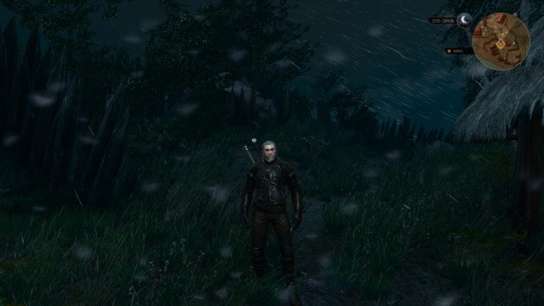 witcher3_2015_05_31_23_03_21_723.jpg