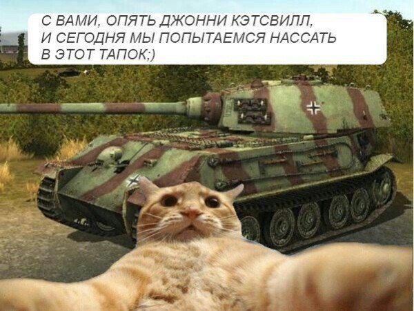 2PMZTUbtSOU.jpg
