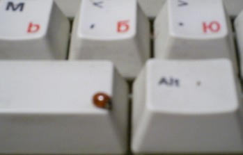 2006-03-09_205935.jpg