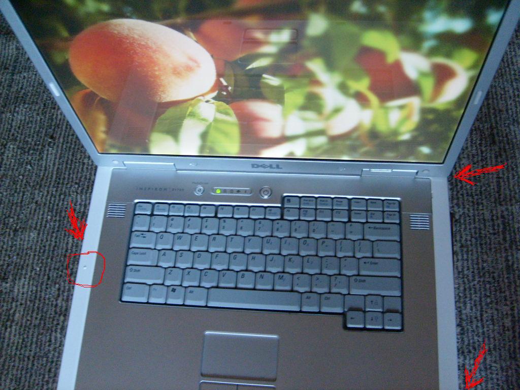 S6300031.JPG