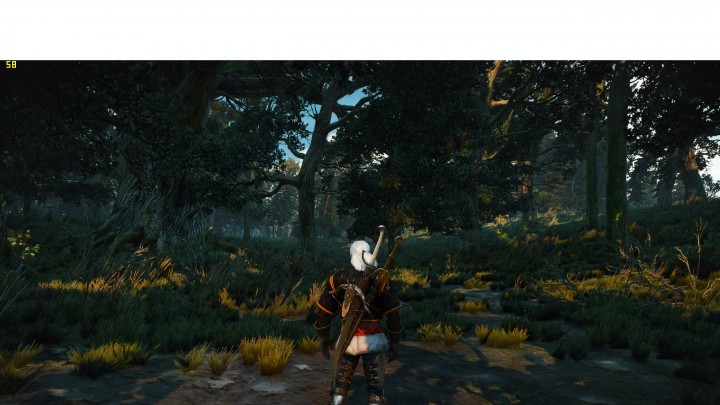 witcher 1440p.jpg