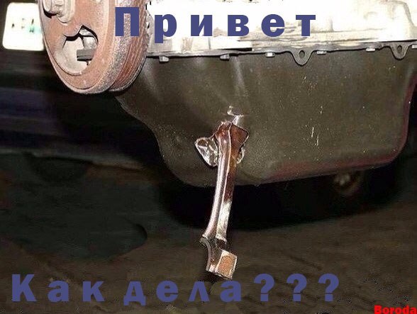 c7y9qer5wMA.jpg
