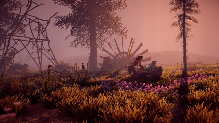 Horizon Zero Dawn™_20170818000937.jpg