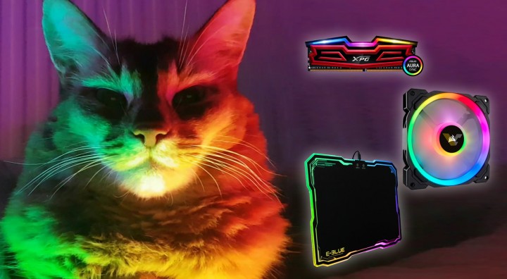 RGB кОте