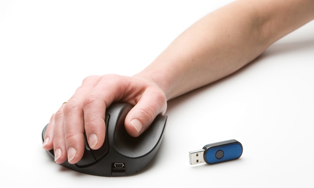 HandShoe_Mouse_7.jpg