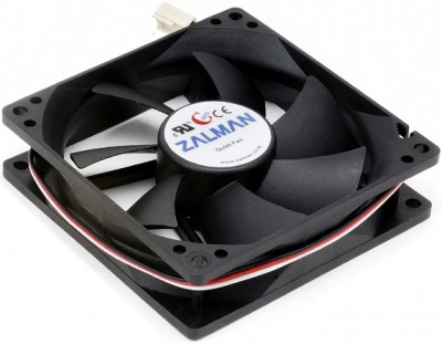 zalman.jpg