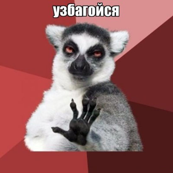 110259856.jpeg