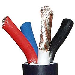 3907.jpg