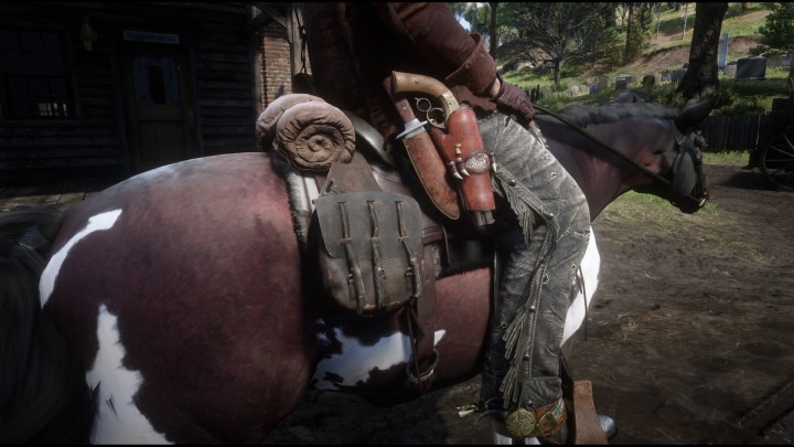 RDR2_2019_11_08_21_05_37_706.jpg