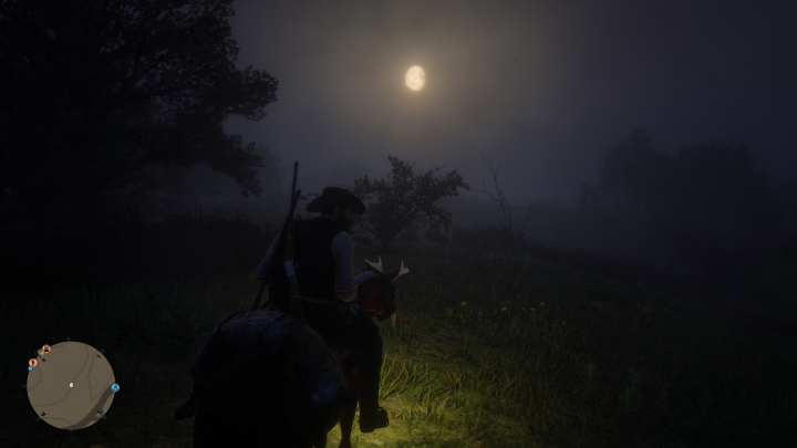 RDR2_2020_01_25_23_29_17_679.png