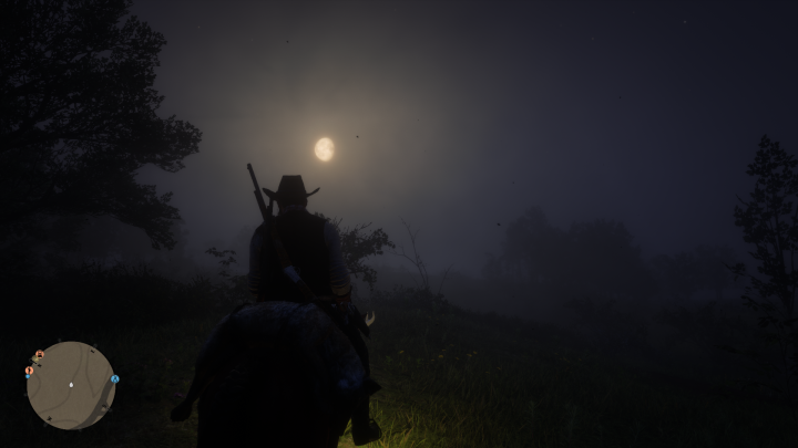 RDR2_2020_01_25_23_29_20_522.png