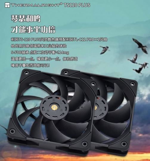 f.JPG