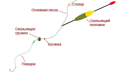 RaxIpF3OdsU.jpg