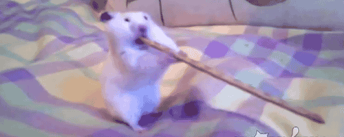 get.gif