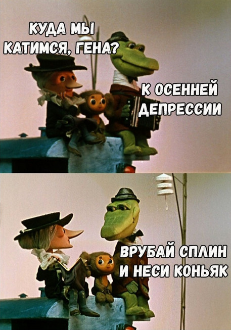 13346112.jpg