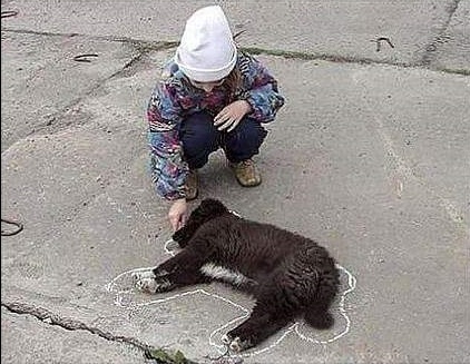 dogs.jpg