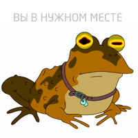 f_4c5368e5c9d6c.gif
