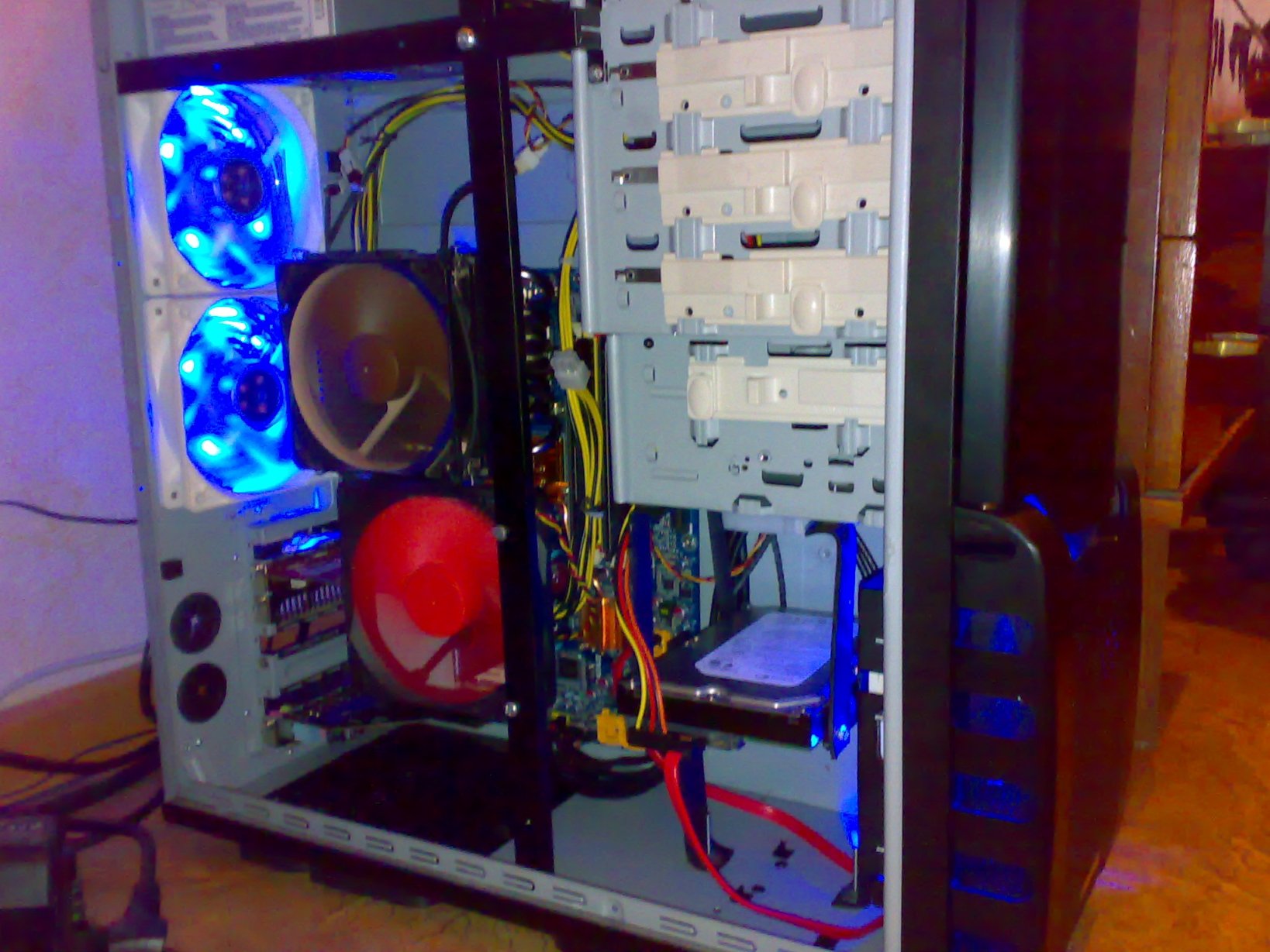 27052010052.jpg
