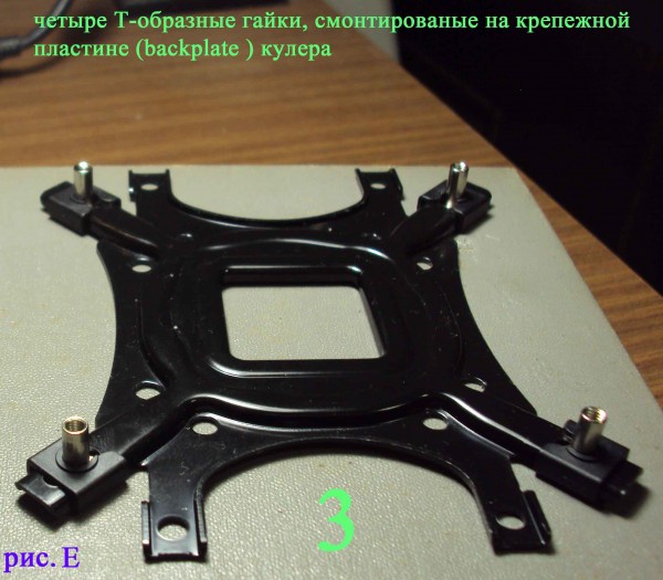 006_backplate_001.jpg