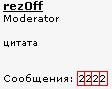 бинго!.jpg