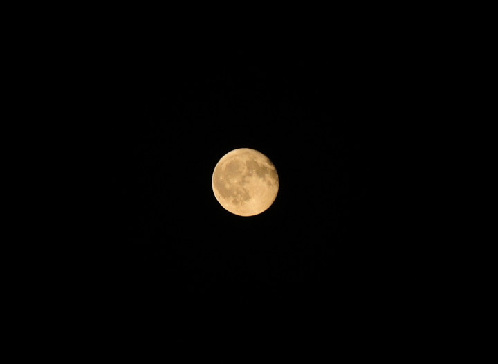 DSCN4320.JPG