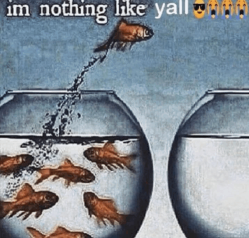 i'm-nothing-like-yall.png