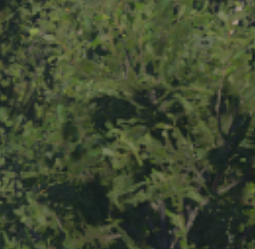 Screenshot 2026-01-19 024500.png