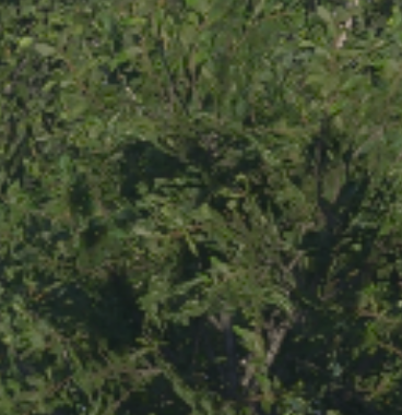 Screenshot 2026-01-19 024504.png