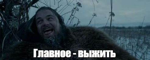 alive.jpg