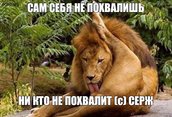 4ad5929731bd92e5c37ba087aea446d0.jpg
