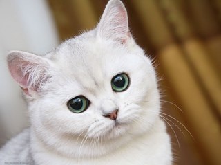 RvLdyAu_Z8I[1].jpg
