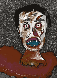 z1.png