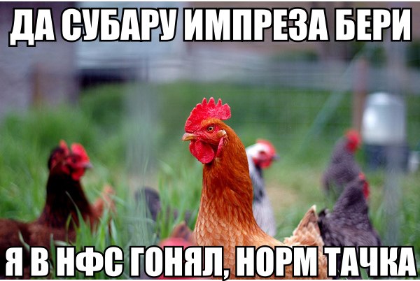 b1Qes6bshiQ.jpg