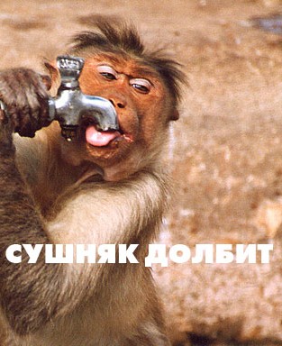 359.jpg