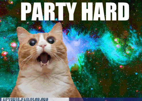 party-fails-party-hard-weekend-cats-space-girug.gif