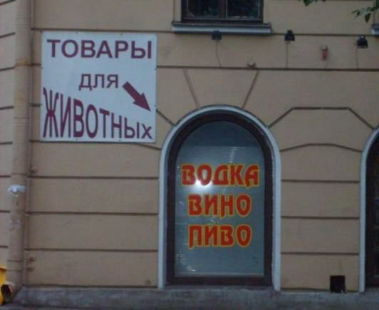 266.jpg