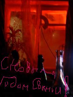 C ngo12.JPG