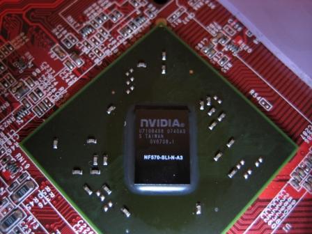 IMG_chip.JPG